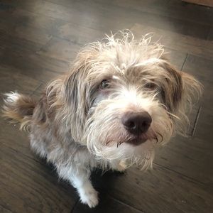 Meet your Posher, Sunita